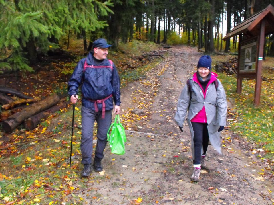 Wycieczka w Góry Stołowe s003 - PTTK Strzelin