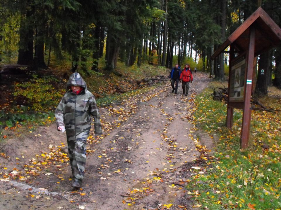 Wycieczka w Góry Stołowe s003 - PTTK Strzelin