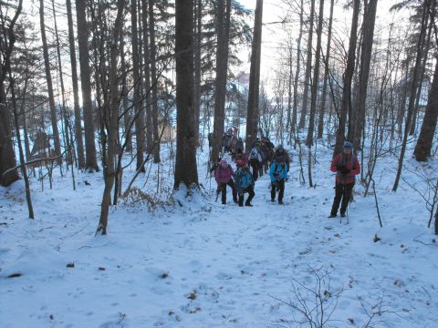Wycieczka w Góry Stołowe s15 - PTTK Strzelin