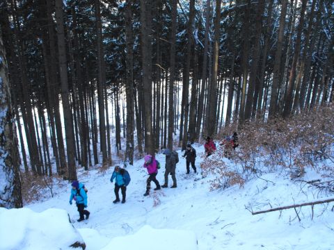 Wycieczka w Góry Stołowe s16 - PTTK Strzelin