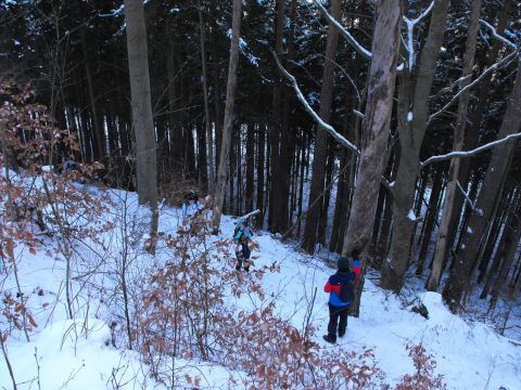 Wycieczka w Góry Stołowe s17 - PTTK Strzelin