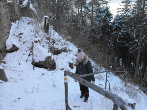 Wycieczka w Góry Stołowe s35 - PTTK Strzelin