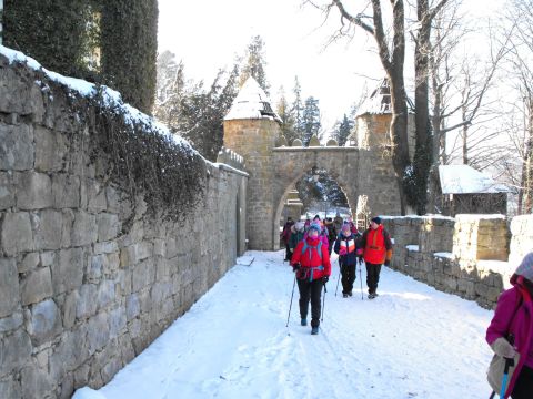 Wycieczka w Góry Stołowe s39 - PTTK Strzelin
