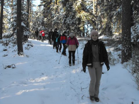Wycieczka w Góry Stołowe s68 - PTTK Strzelin
