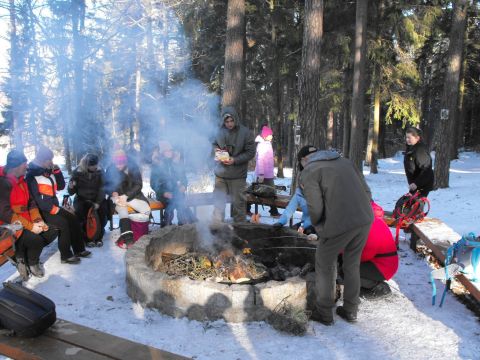 Wycieczka w Góry Stołowe s71 - PTTK Strzelin