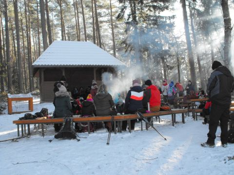 Wycieczka w Góry Stołowe s76 - PTTK Strzelin