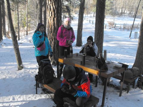 Wycieczka w Góry Stołowe s80 - PTTK Strzelin