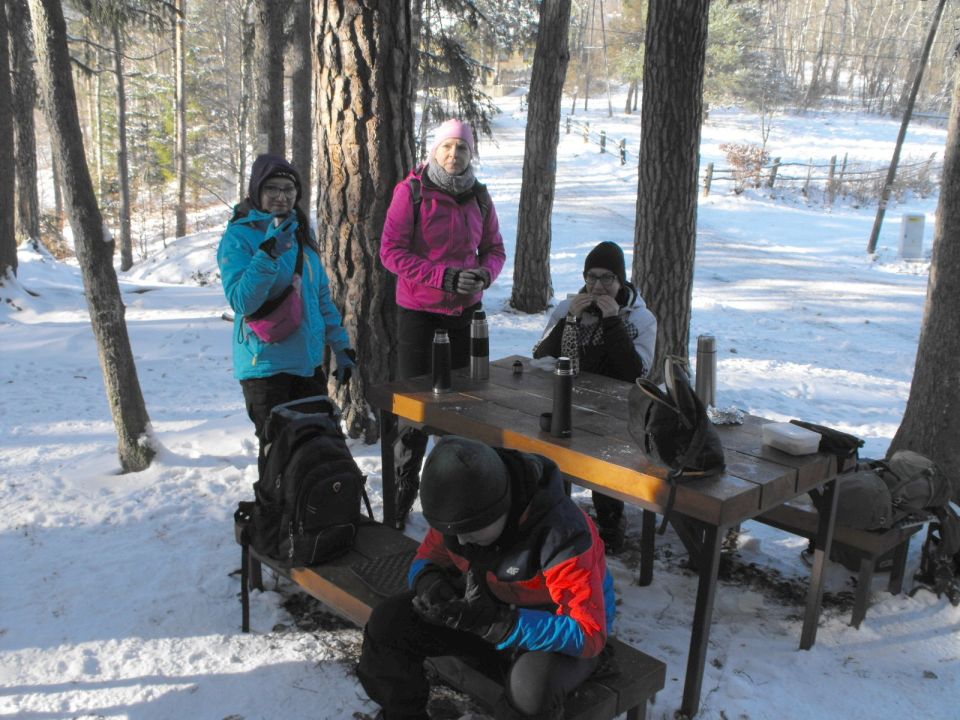 Wycieczka w Góry Stołowe s003 - PTTK Strzelin