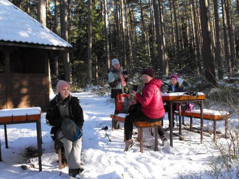 Wycieczka w Góry Stołowe s87 - PTTK Strzelin
