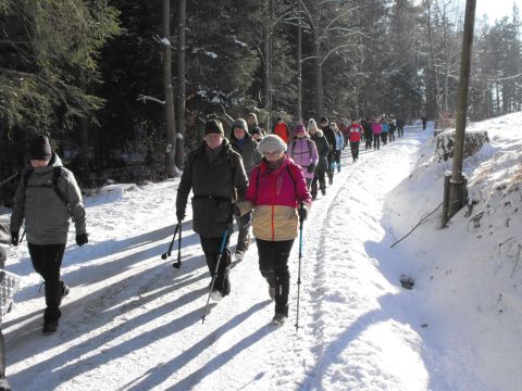 Wycieczka w Góry Stołowe s91 - PTTK Strzelin