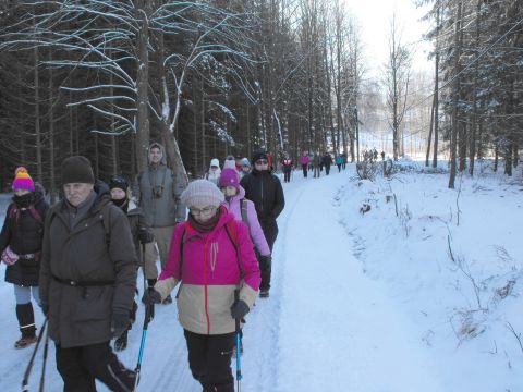 Wycieczka w Góry Stołowe s92 - PTTK Strzelin