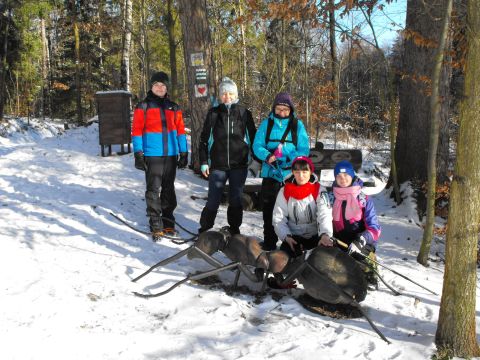 Wycieczka w Góry Stołowe s93 - PTTK Strzelin