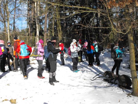 Wycieczka w Góry Stołowe s94 - PTTK Strzelin