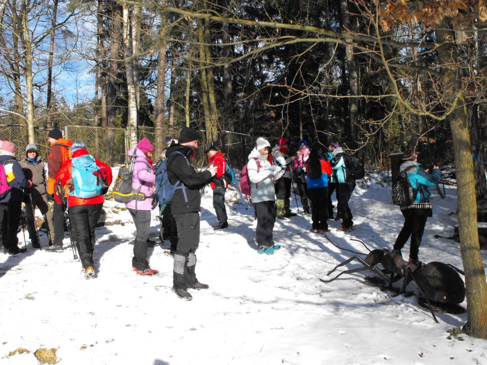 Wycieczka w Góry Stołowe s003 - PTTK Strzelin