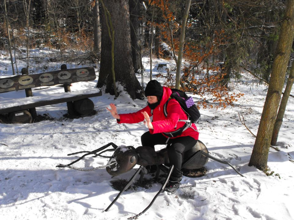 Wycieczka w Góry Stołowe s003 - PTTK Strzelin