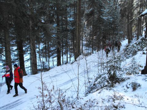Wycieczka w Góry Stołowe s96 - PTTK Strzelin