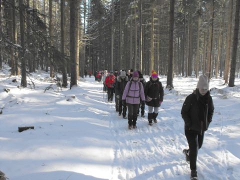 Wycieczka w Góry Stołowe s97 - PTTK Strzelin