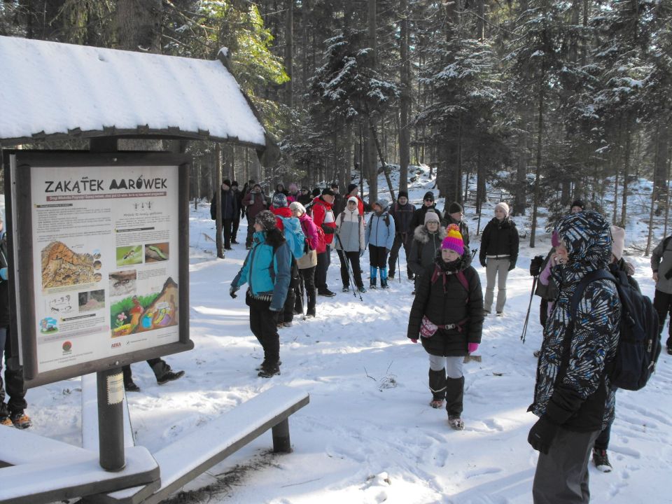 Wycieczka w Góry Stołowe s003 - PTTK Strzelin