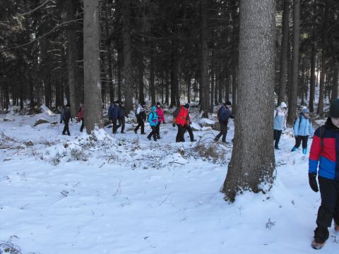 Wycieczka w Góry Stołowe s101 - PTTK Strzelin