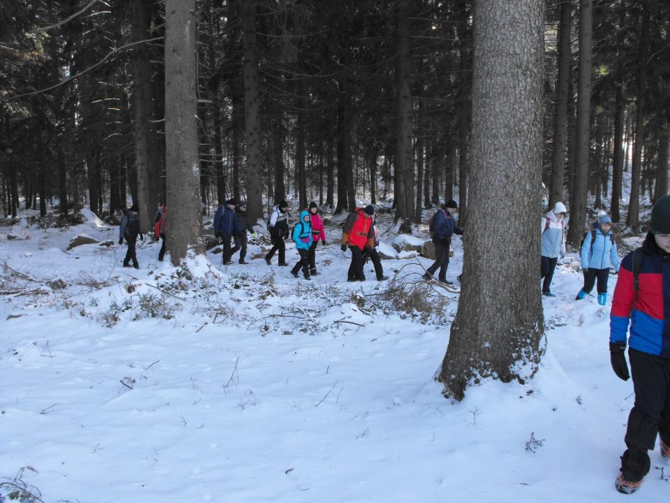 Wycieczka w Góry Stołowe s003 - PTTK Strzelin