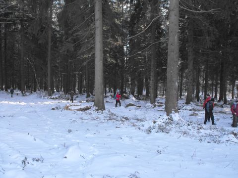 Wycieczka w Góry Stołowe s102 - PTTK Strzelin