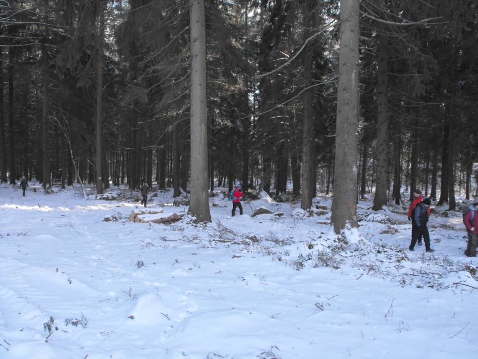 Wycieczka w Góry Stołowe s003 - PTTK Strzelin