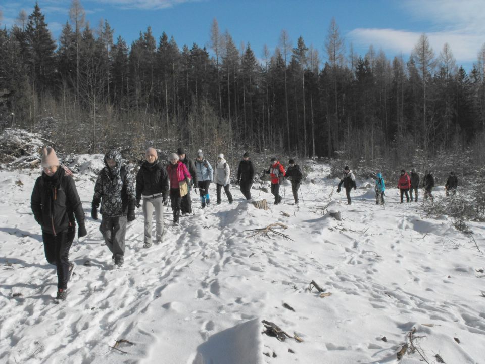 Wycieczka w Góry Stołowe s003 - PTTK Strzelin