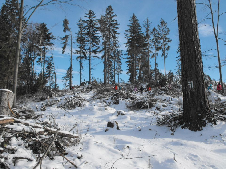 Wycieczka w Góry Stołowe s003 - PTTK Strzelin