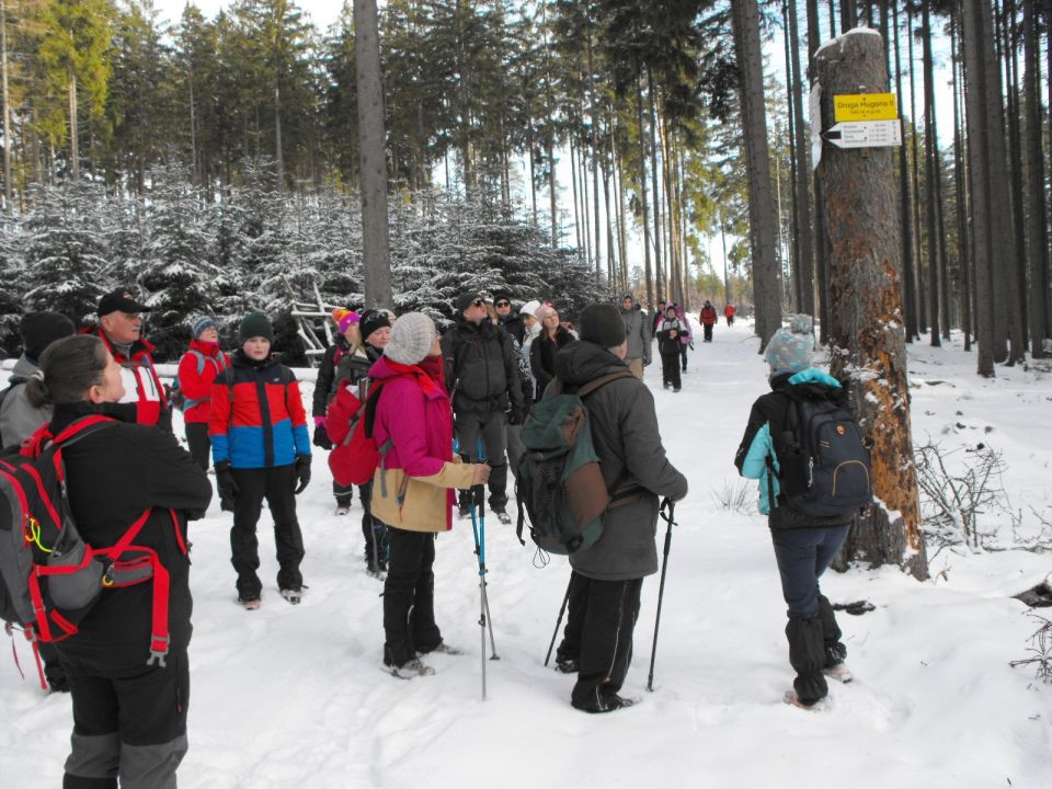 Wycieczka w Góry Stołowe s003 - PTTK Strzelin