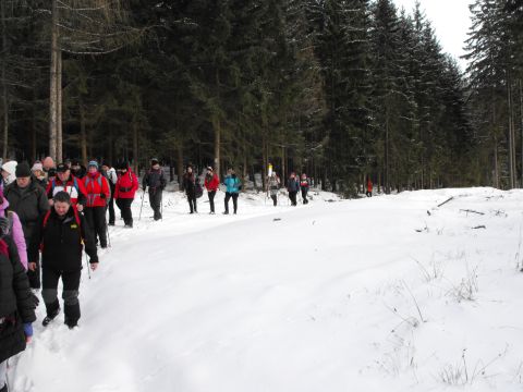 Wycieczka w Góry Stołowe s115 - PTTK Strzelin