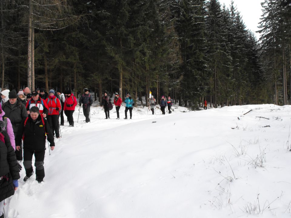 Wycieczka w Góry Stołowe s003 - PTTK Strzelin