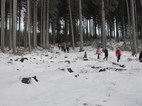 Wycieczka w Góry Stołowe s116 - PTTK Strzelin