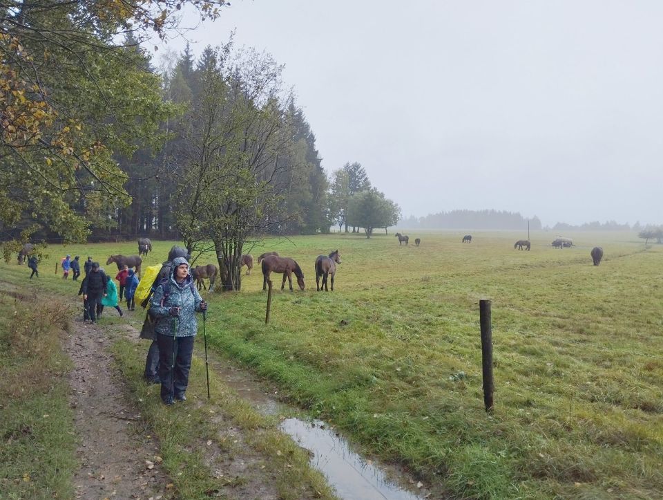 Wycieczka w Góry Stołowe s003 - PTTK Strzelin