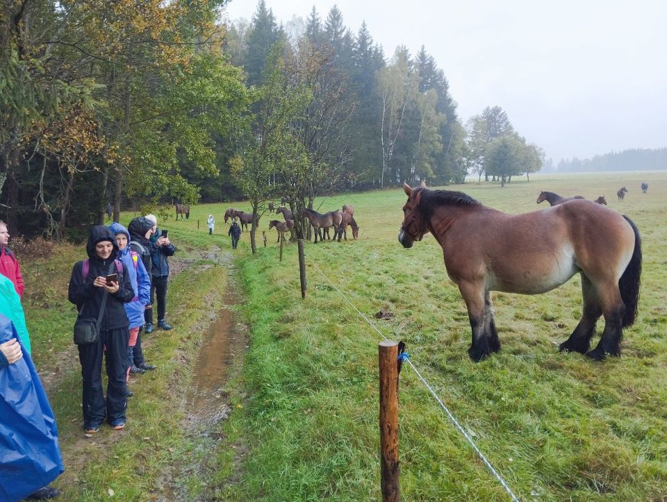 Wycieczka w Góry Stołowe s003 - PTTK Strzelin