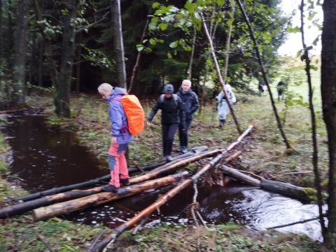 Wycieczka w Góry Stołowe s13 - PTTK Strzelin