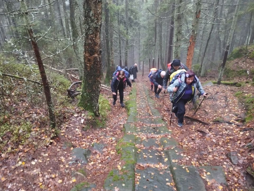 Wycieczka w Góry Stołowe s003 - PTTK Strzelin