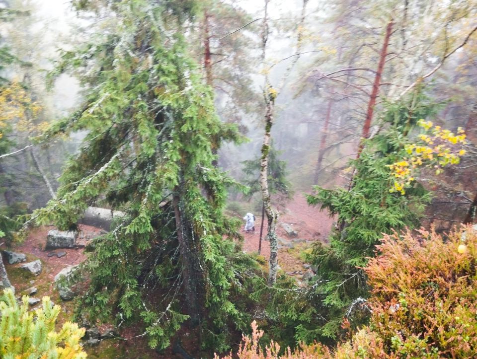 Wycieczka w Góry Stołowe s003 - PTTK Strzelin