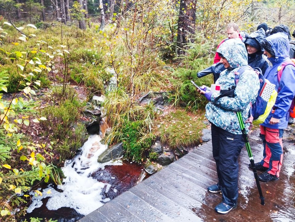 Wycieczka w Góry Stołowe s003 - PTTK Strzelin
