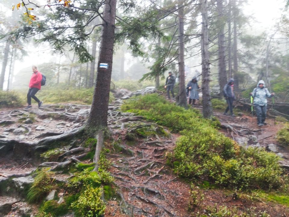 Wycieczka w Góry Stołowe s003 - PTTK Strzelin