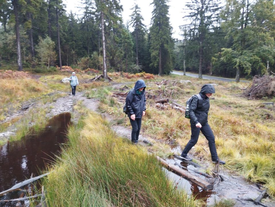 Wycieczka w Góry Stołowe s003 - PTTK Strzelin