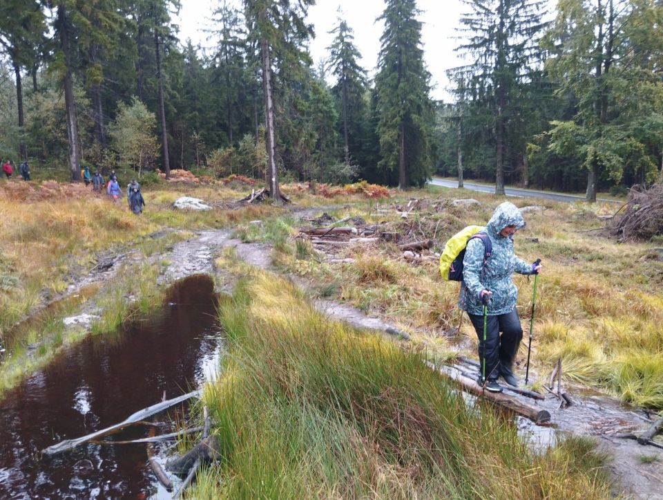 Wycieczka w Góry Stołowe s003 - PTTK Strzelin