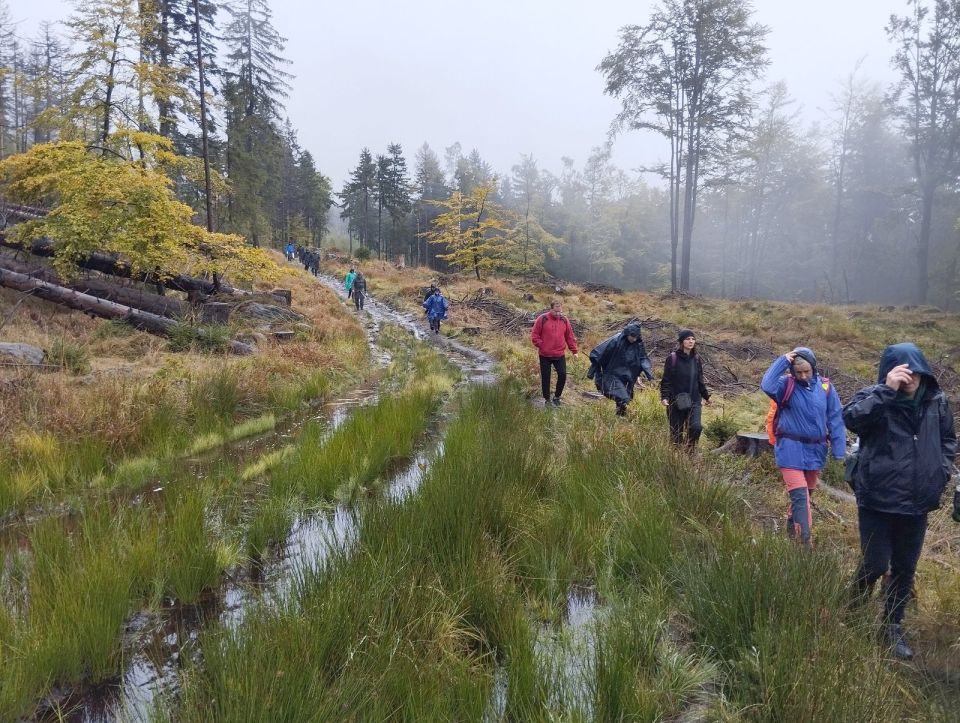 Wycieczka w Góry Stołowe s003 - PTTK Strzelin