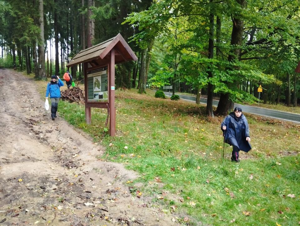 Wycieczka w Góry Stołowe s003 - PTTK Strzelin