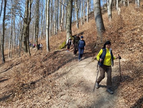 Wycieczka w Góry Stołowe s33 - PTTK Strzelin