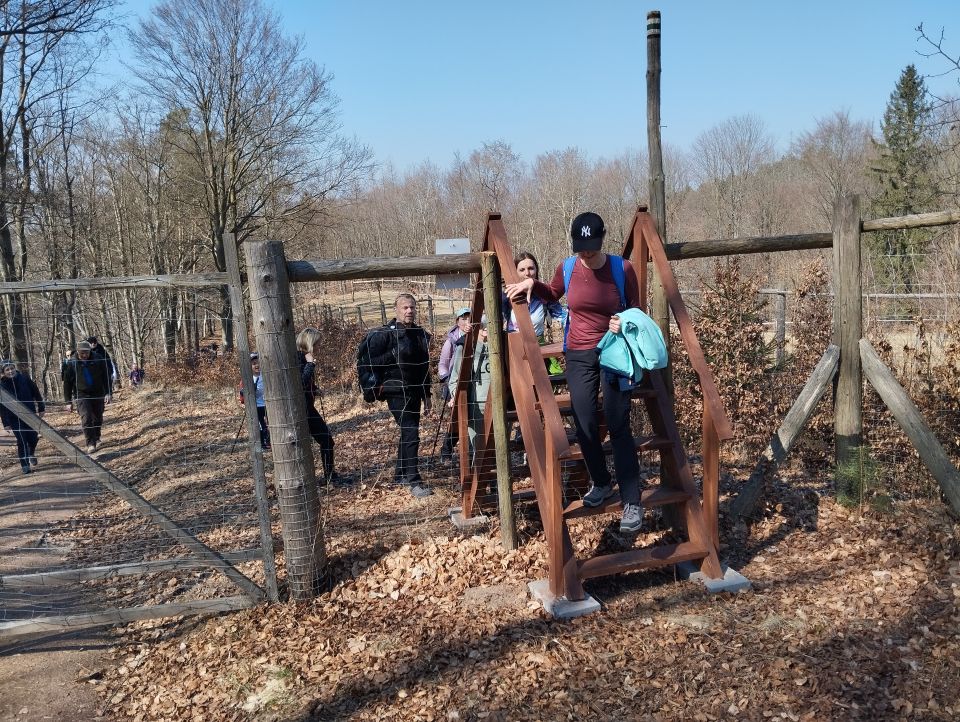 Wycieczka w Góry Stołowe s003 - PTTK Strzelin