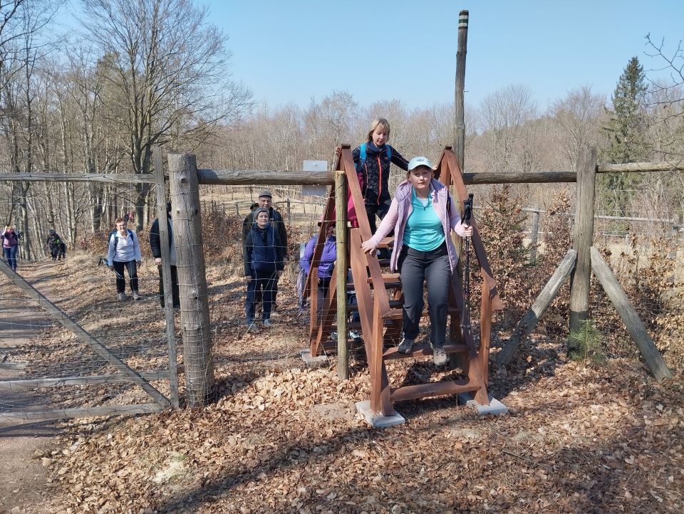 Wycieczka w Góry Stołowe s003 - PTTK Strzelin