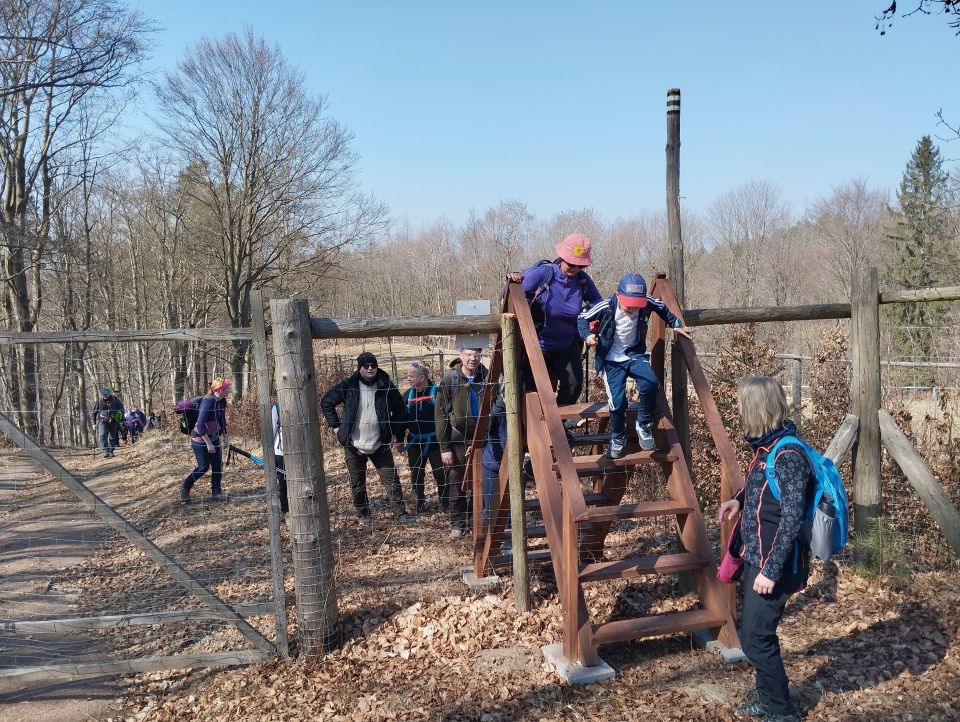 Wycieczka w Góry Stołowe s003 - PTTK Strzelin