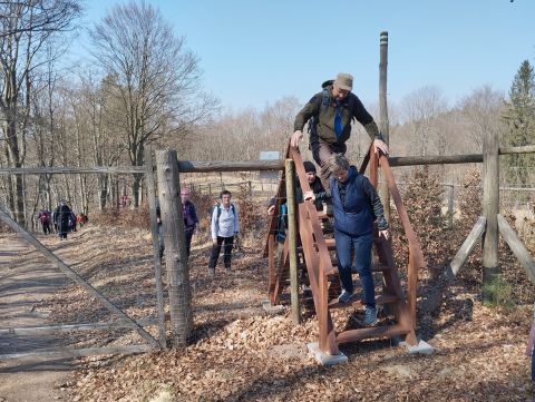 Wycieczka w Góry Stołowe s40 - PTTK Strzelin