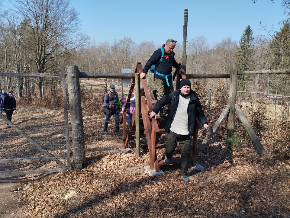 Wycieczka w Góry Stołowe s003 - PTTK Strzelin