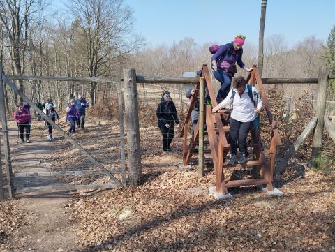 Wycieczka w Góry Stołowe s42 - PTTK Strzelin